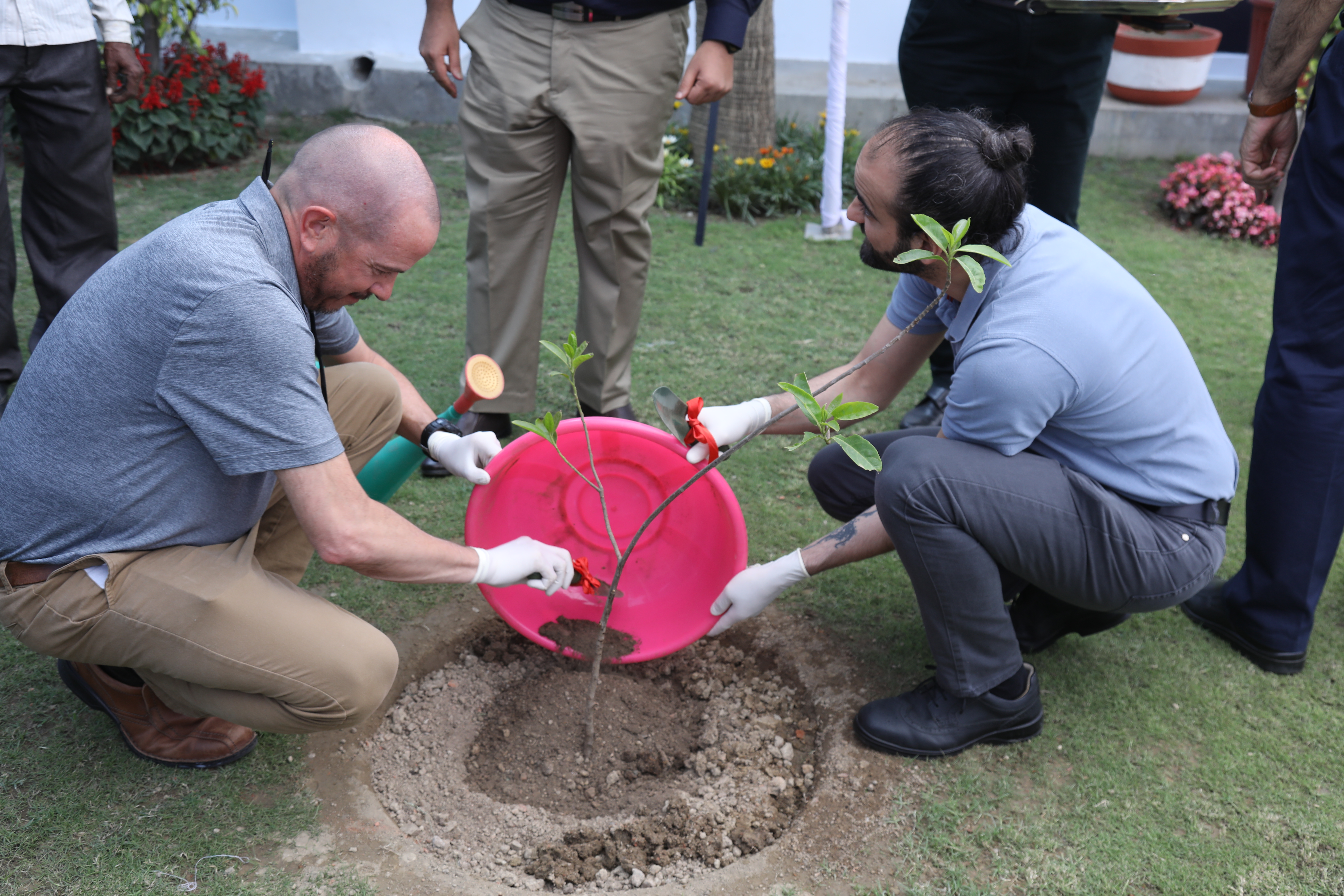 Team members planting a sapling together during Triveni's Environment Day plantation drive
